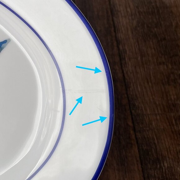 Williams-Sonoma La Mer Fish Porcelain Platter Large Blue Fish Marc Lacaze 2008 - Picture 11 of 16